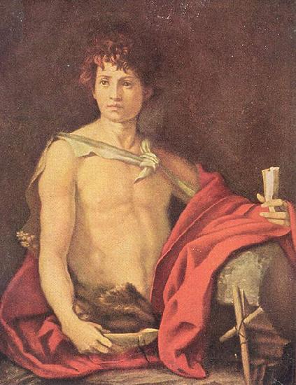 Andrea del Sarto Der jugendliche Johannes France oil painting art
